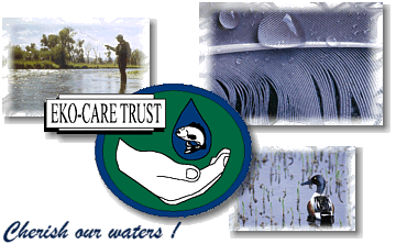 Eko-Care Trust is a Non Profit Organisation aimed at the conservation of South Africa's aquatic ecosystems. It was established when the need arose for an environmental group aimed specifically at the huge task of conserving the countryÆs dams and rivers through conservation projects and public awareness programmes.